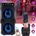 HF-3223 Pro Speaker: Dual Subwoofers, Karaoke Ready | Final Stock
